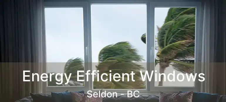  Energy Efficient Windows Seldon - BC