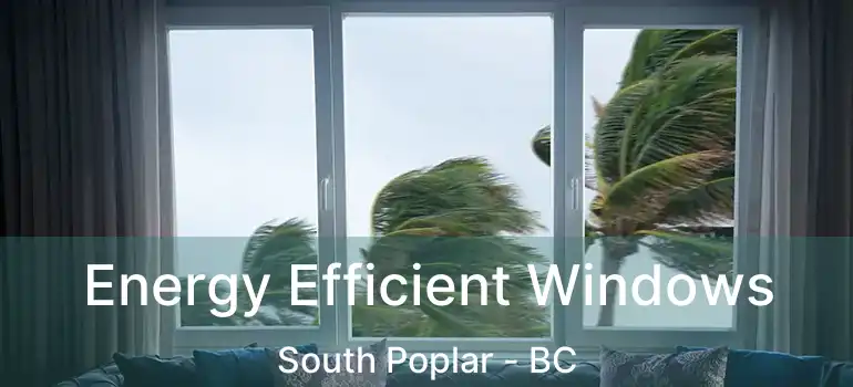  Energy Efficient Windows South Poplar - BC