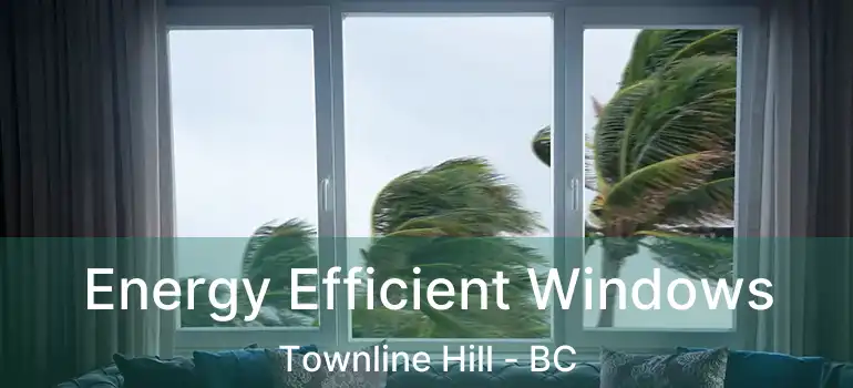  Energy Efficient Windows Townline Hill - BC