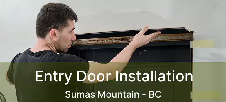  Entry Door Installation Sumas Mountain - BC