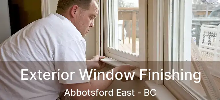  Exterior Window Finishing Abbotsford East - BC