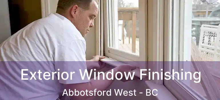  Exterior Window Finishing Abbotsford West - BC