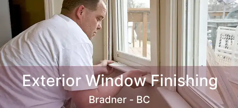  Exterior Window Finishing Bradner - BC