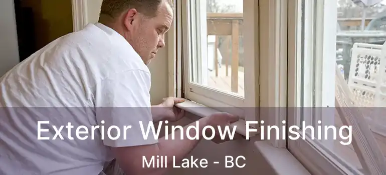 Exterior Window Finishing Mill Lake - BC