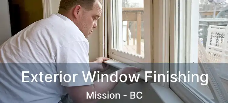  Exterior Window Finishing Mission - BC
