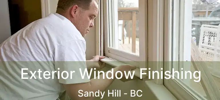  Exterior Window Finishing Sandy Hill - BC