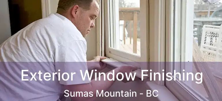  Exterior Window Finishing Sumas Mountain - BC