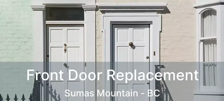 Front Door Replacement Sumas Mountain - BC