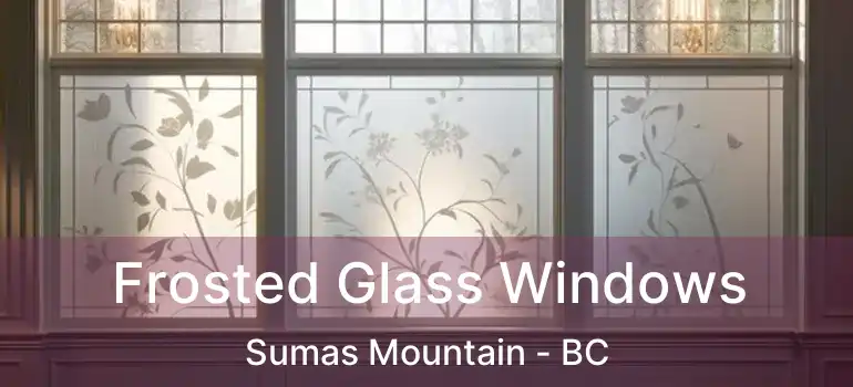  Frosted Glass Windows Sumas Mountain - BC