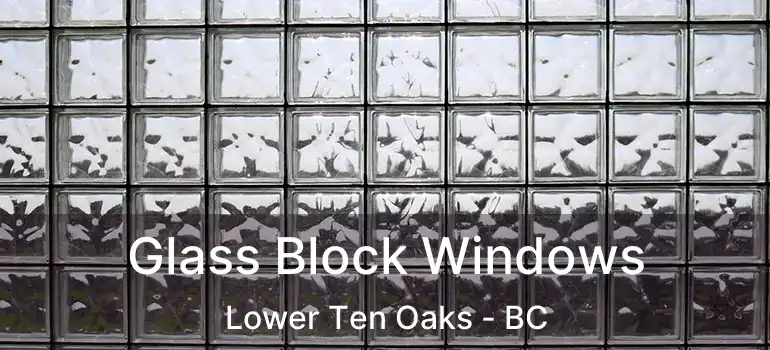  Glass Block Windows Lower Ten Oaks - BC