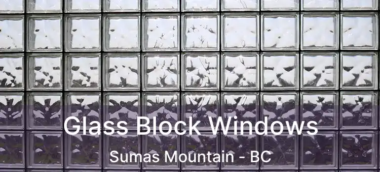  Glass Block Windows Sumas Mountain - BC