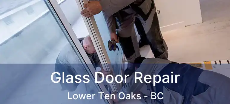  Glass Door Repair Lower Ten Oaks - BC
