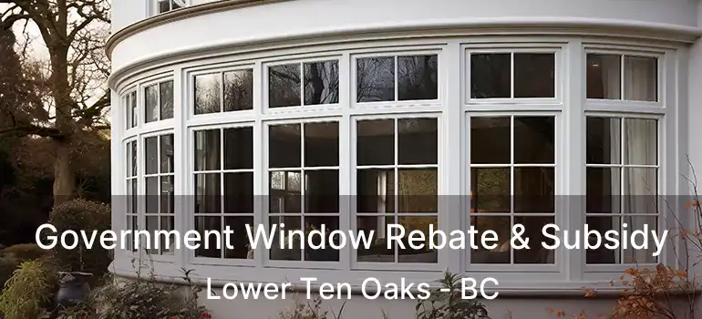  Government Window Rebate & Subsidy Lower Ten Oaks - BC