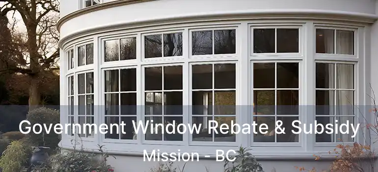  Government Window Rebate & Subsidy Mission - BC