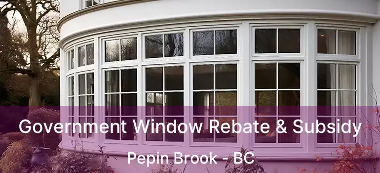  Government Window Rebate & Subsidy Pepin Brook - BC