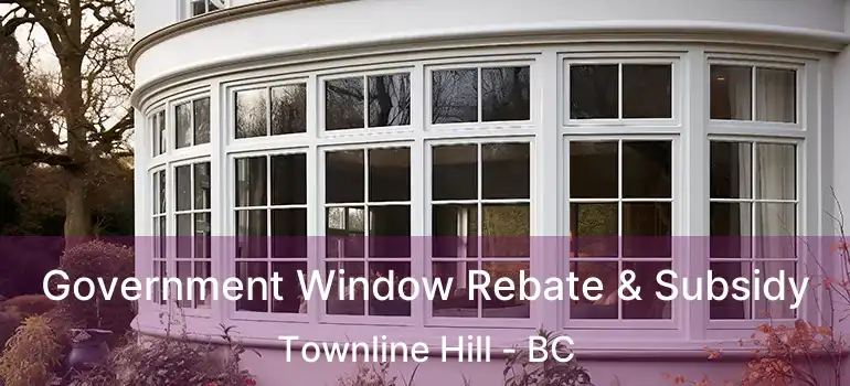  Government Window Rebate & Subsidy Townline Hill - BC