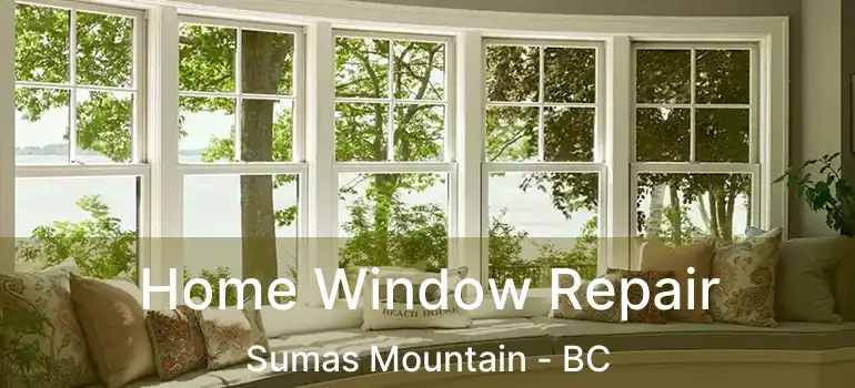  Home Window Repair Sumas Mountain - BC