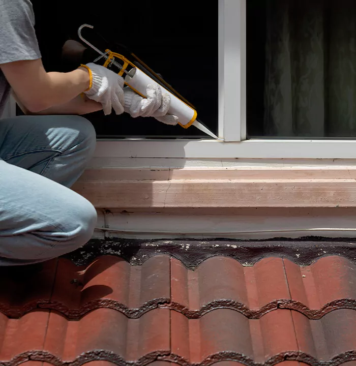 Roof Window Services in Abbotsford, British Columbia