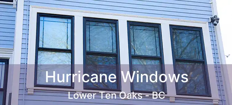  Hurricane Windows Lower Ten Oaks - BC