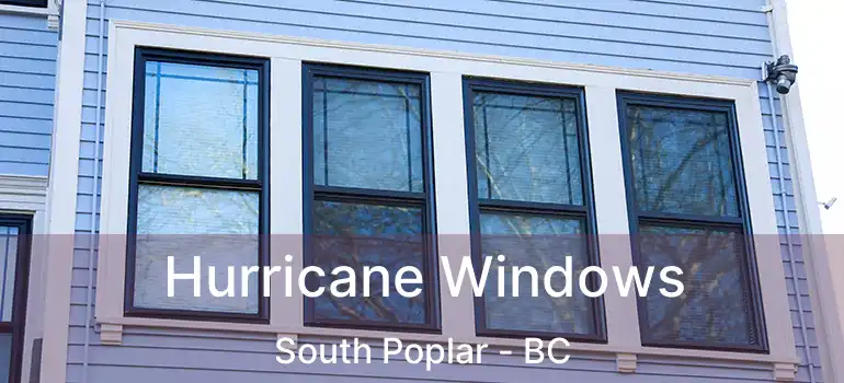  Hurricane Windows South Poplar - BC