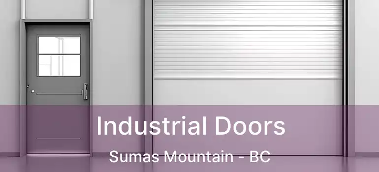  Industrial Doors Sumas Mountain - BC