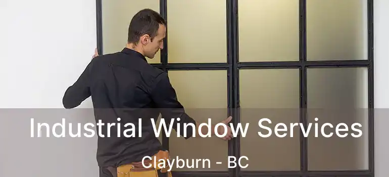  Industrial Window Services Clayburn - BC