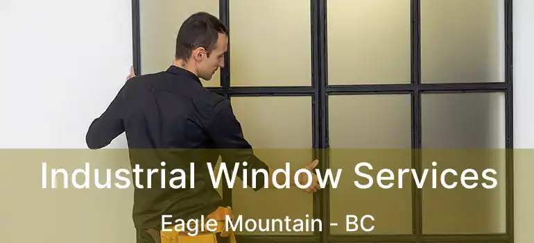  Industrial Window Services Eagle Mountain - BC