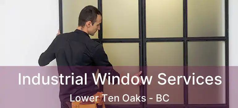  Industrial Window Services Lower Ten Oaks - BC