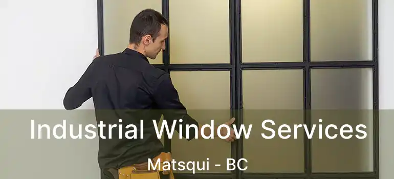  Industrial Window Services Matsqui - BC