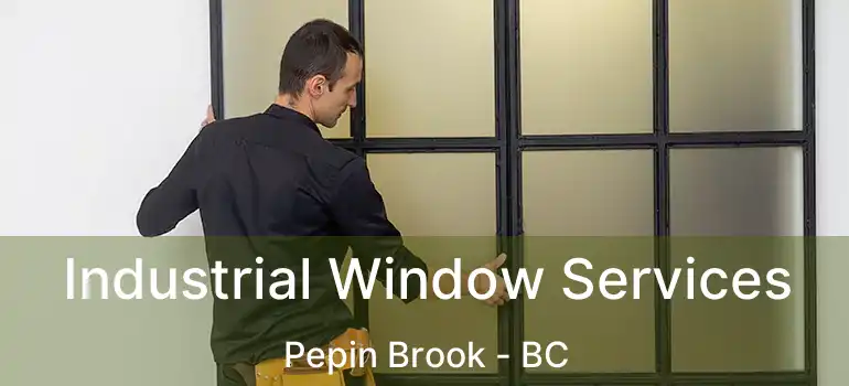  Industrial Window Services Pepin Brook - BC