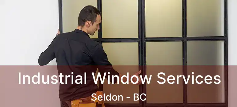  Industrial Window Services Seldon - BC