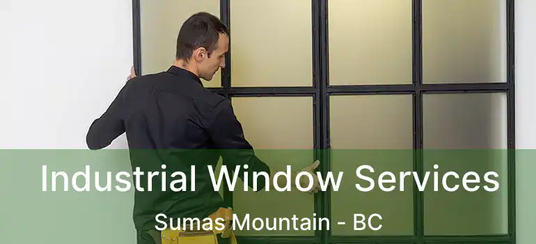 Industrial Window Services Sumas Mountain - BC