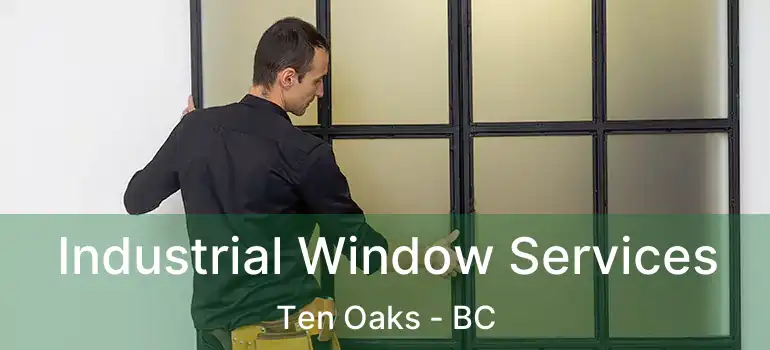 Industrial Window Services Ten Oaks - BC