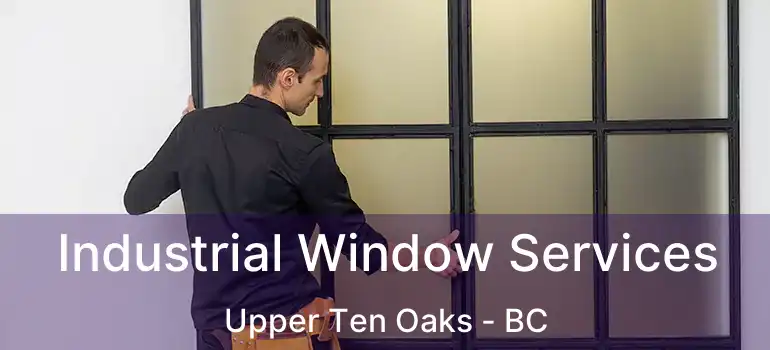  Industrial Window Services Upper Ten Oaks - BC