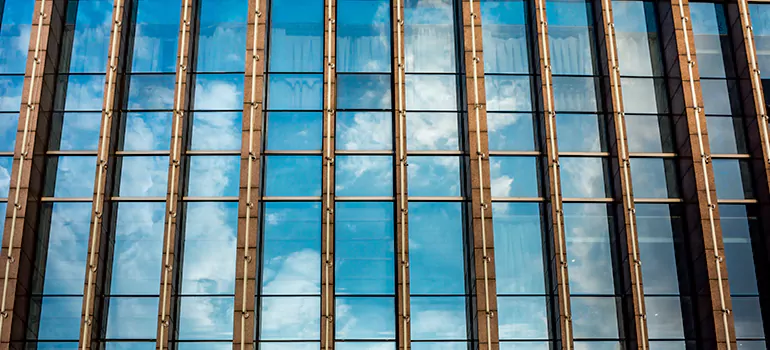 Professional Window Tinting Services in Abbotsford, BC