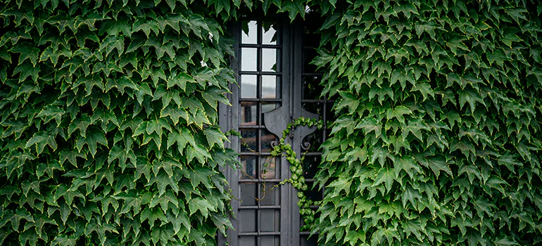 Garden Gate Repair in Abbotsford, BC