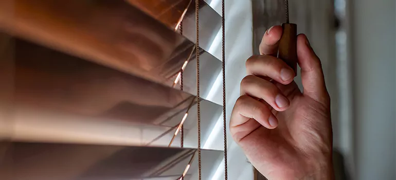 Double Roller Blinds in Abbotsford, British Columbia