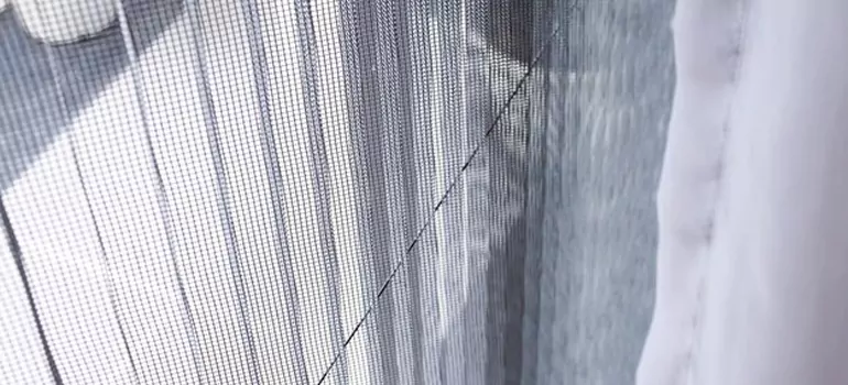 Fixing Screen Window Mesh in Abbotsford, British Columbia