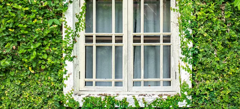 Garden Window Repair Near Me in Abbotsford, BC