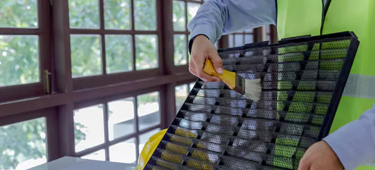 Traditional Window Grille Installation Options in Abbotsford, BC
