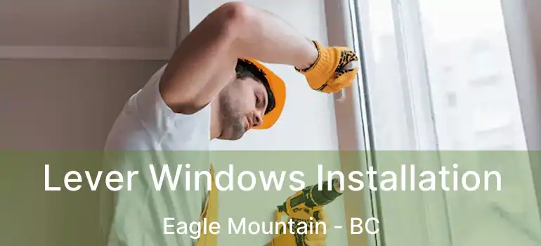  Lever Windows Installation Eagle Mountain - BC
