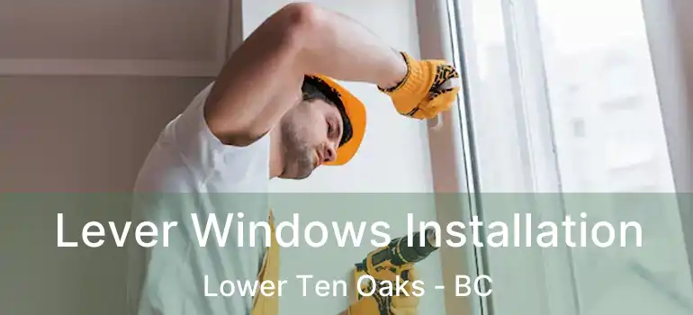  Lever Windows Installation Lower Ten Oaks - BC