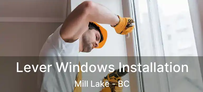  Lever Windows Installation Mill Lake - BC