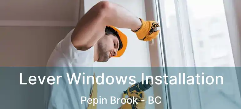  Lever Windows Installation Pepin Brook - BC