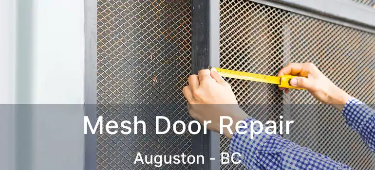  Mesh Door Repair Auguston - BC