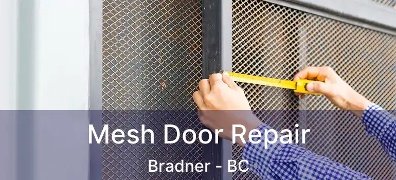  Mesh Door Repair Bradner - BC