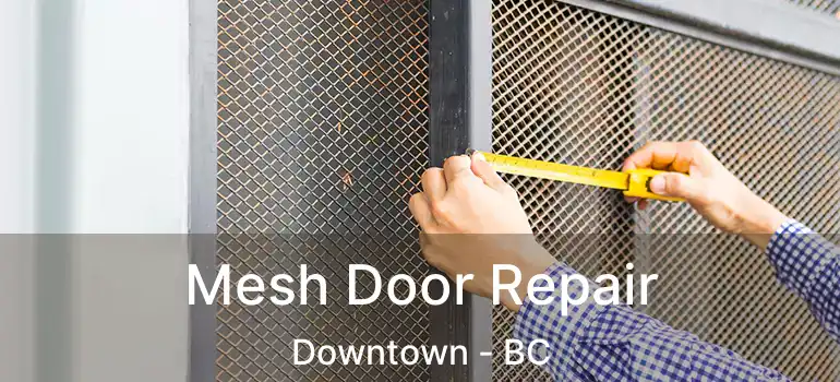  Mesh Door Repair Downtown - BC