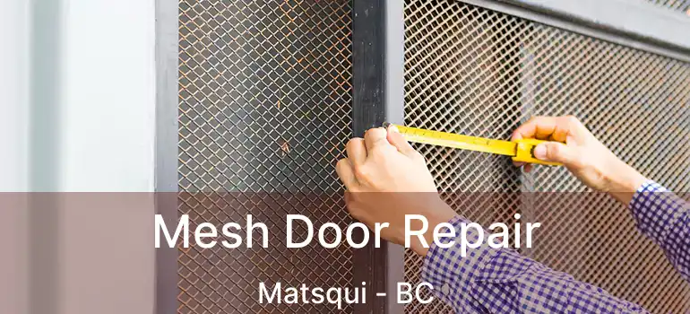 Mesh Door Repair Matsqui - BC