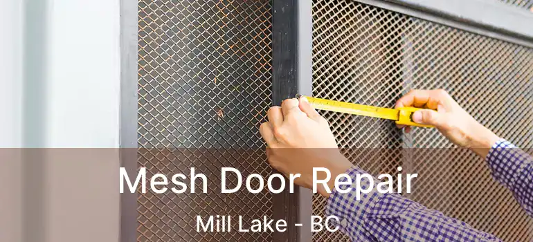  Mesh Door Repair Mill Lake - BC