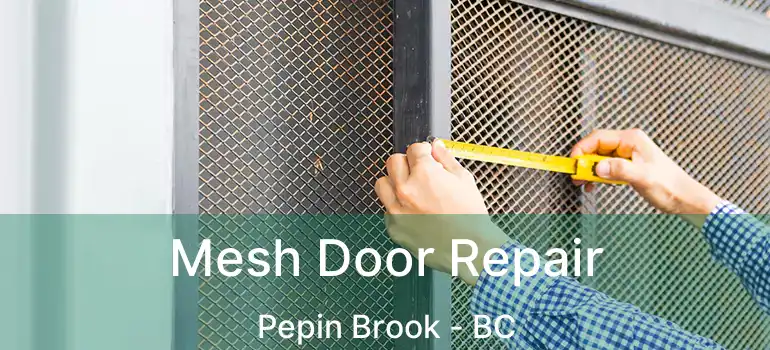  Mesh Door Repair Pepin Brook - BC
